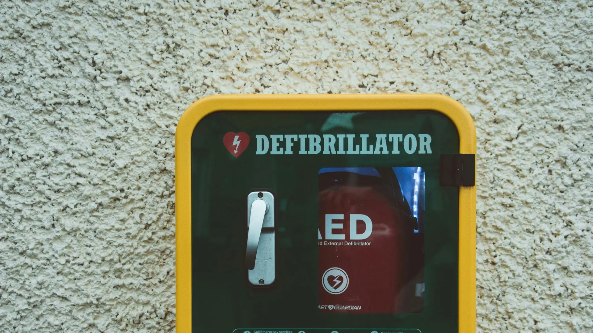 The Critical Role of the Host File in Network Resilience