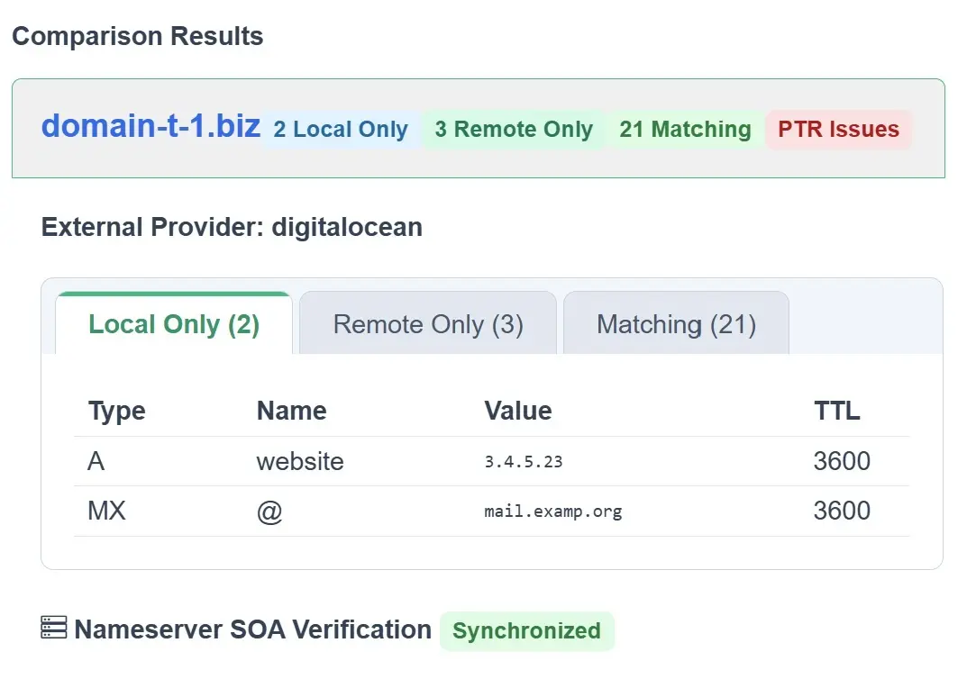 ResorsIT compare report summarizing local-only, remote-only, and matching DNS records for a domain